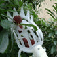 White plastic fruit picking tool with curved cage and clamp base