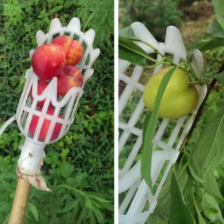 White plastic fruit picking cage holding red and yellow apples on handle