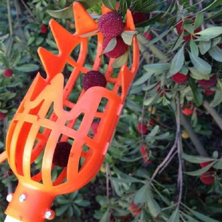 Orange plastic fruit picking cage with long handle and dark berry fruit
