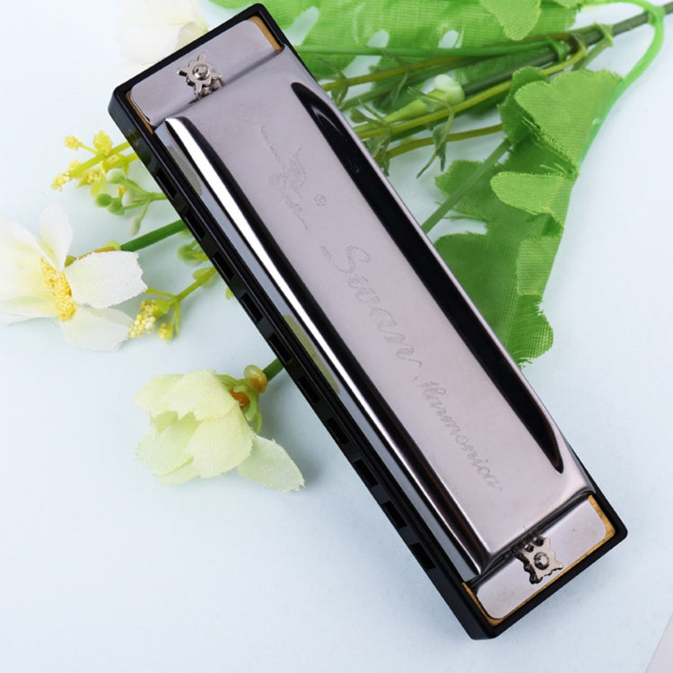 10-hole diatonic harmonica in silver cover with black body and end plates