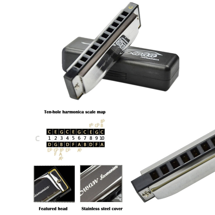 10-hole harmonica open, showing black comb and silver cover