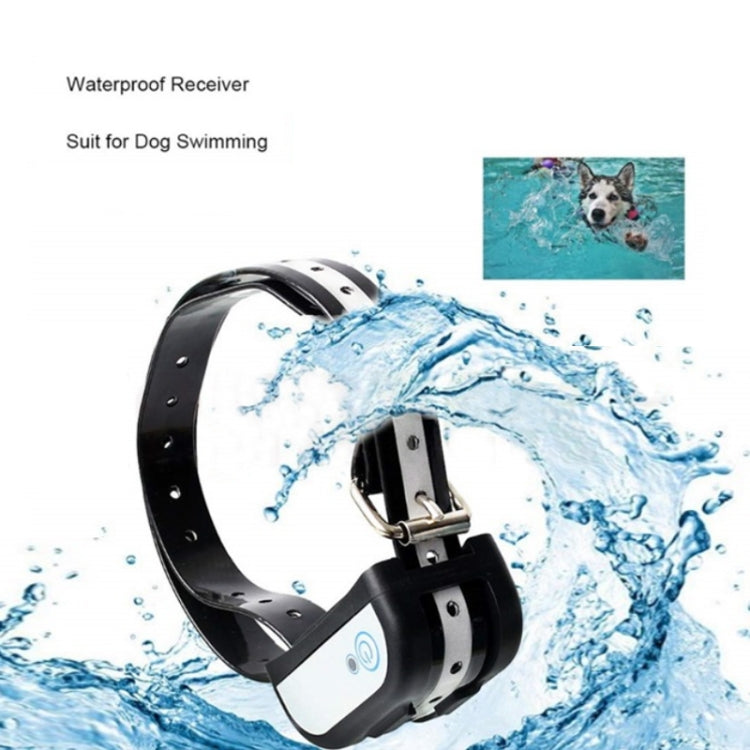 Waterproof electronic dog receiver collar with splash-resistant black receiver