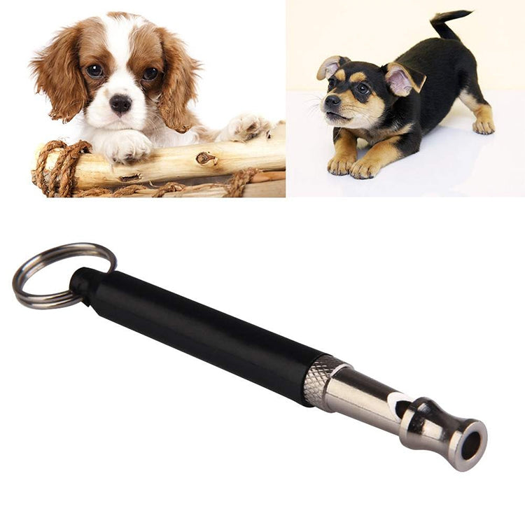 Ultrasonic dog training device, pitch-black body with metal nozzle and key ring