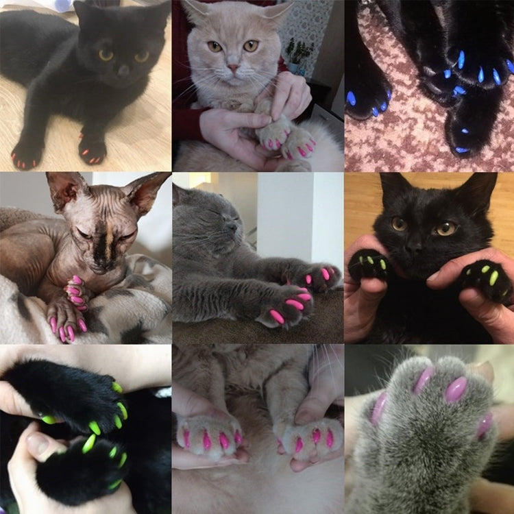 Multicolor silicone cat nail caps fitted on multiple cat paws