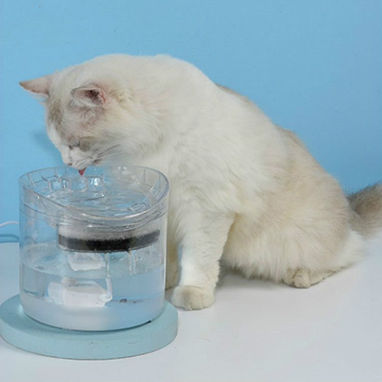 Transparent pet water fountain with circulating bowl, white cat drinking, US plug