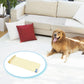 Pet electrostatic training mat beside golden retriever, yellow pad in blue circular frame