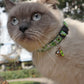 Cat wearing a green fruit pattern collar with black buckle and bell with dangling charm