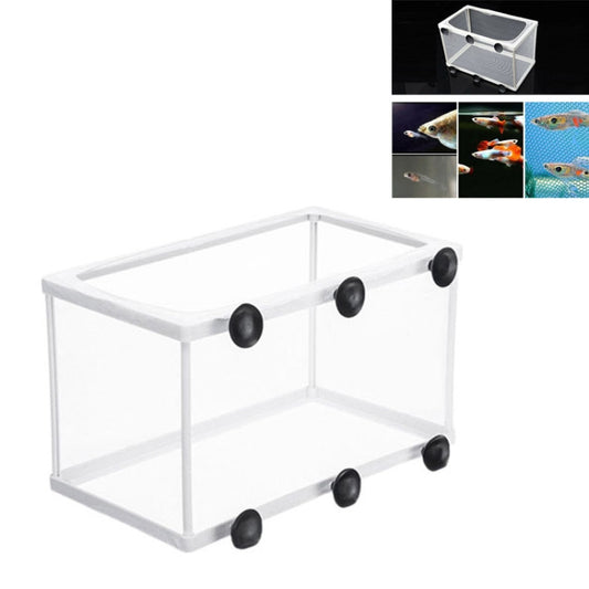 White plastic fish isolation/breeding box with mesh sides and black suction cups