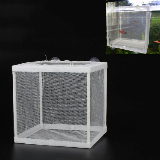 Small fish isolation net box with white frame, see-through mesh cube