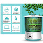 Automatic bean sprout machine with teal sprout tank and visible control panel