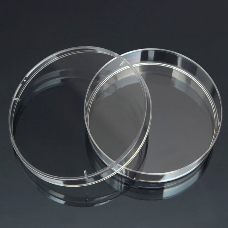 Sterile polystyrene Petri dishes, two clear round dishes overlapping