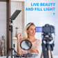 Adjustable portable work lamp with tripod stand and directed LED light panel