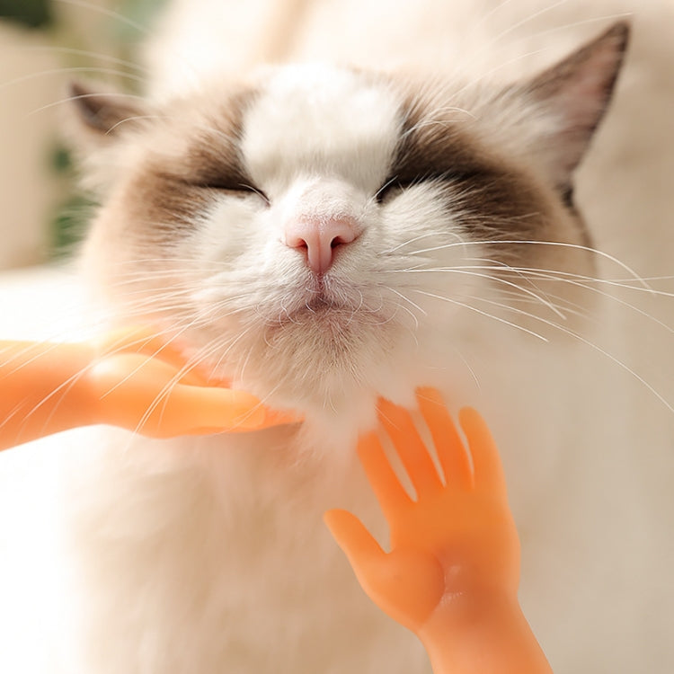 Orange silicone pet massage finger cots gently touching a white cat