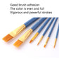 Blue paint brushes with flat bristles and pointed detail brushes in a row