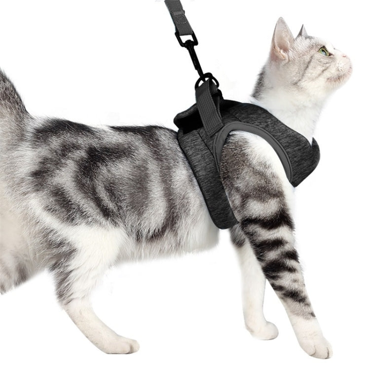 Cat chest harness with leash, dark gray fabric on cat side view