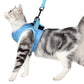 Cat chest harness with leash, sky blue fabric with black leash clip