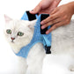 Cat chest harness with leash, light blue close-up being secured by hands