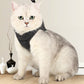Cat chest harness with leash, dark gray chest panel on sitting cat