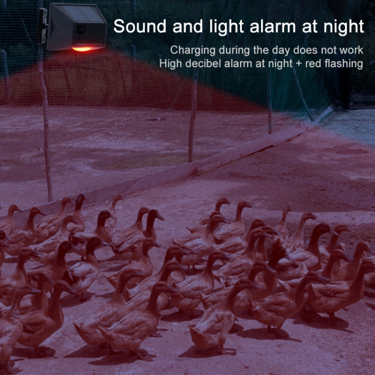 Wall-mounted solar alarm unit with red glowing light at night