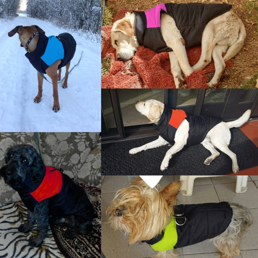 Waterproof dog puffer vest jacket in dark and bright colors worn by dogs outdoors and indoors.