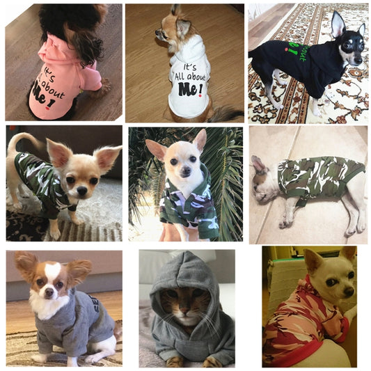 Small dogs wearing hooded pet sweaters with 'SECURITY' prints, multi-photo collage