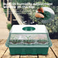 Green seedling tray with clear top humidity adjustment window