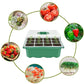 Green seedling starter tray with cell inserts and removable top cover
