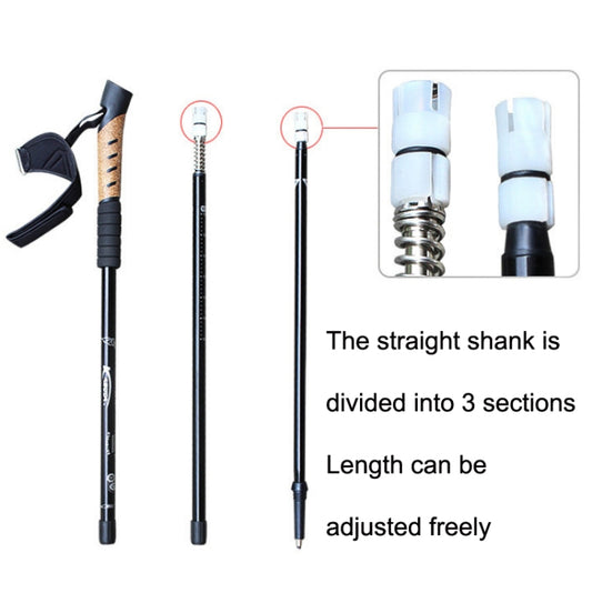 Three-section straight-shaft trekking pole with cork handle and spring-style tip detail