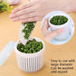 White drainage storage container with lid, filled with chopped green onions