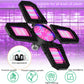 LED plant grow lamp with adjustable multi-head design and four lit square panels on black frame