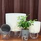 Clear and white double-layer water storage flowerpots with gray inner bases