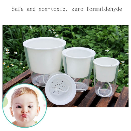 Transparent hydroponic flower pots with visible water level and white perforated insert