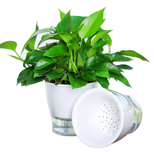 Transparent hydroponic flower pot with visible water level and perforated insert lid