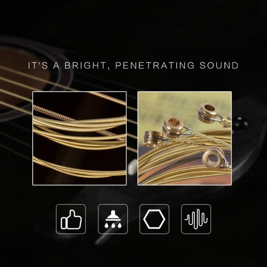 Close-up of gold acoustic guitar strings with coiled windings and metal loop ends