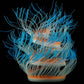 Fluorescent aquarium anemone decoration with blue tentacles and orange inner accents