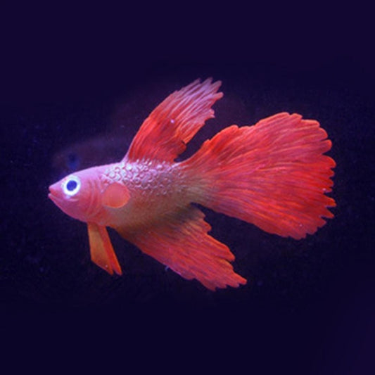 Red betta-style fish decoration with flowing fins and large round eyes.