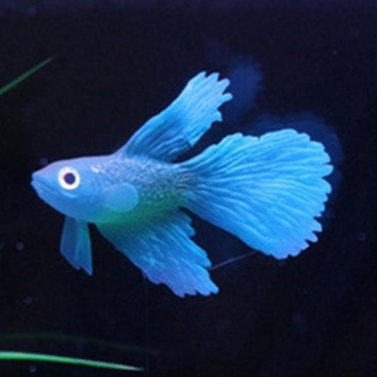 Blue betta-style fish decoration with flowing fins and large round eyes.