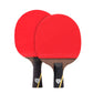 Table tennis racket with two red rubber surfaces and dark wood handle, angled view