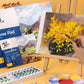 Oil acrylic canvas pad pack with watercolor-style painting and brush on canvas paper