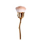 Loose powder makeup brush with pale white bristles and gold stem handle