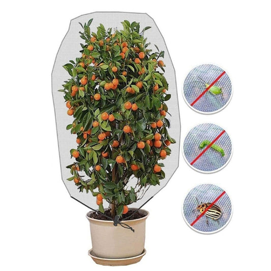 Drawstring greenhouse fruit tree cover net, white mesh over potted citrus tree