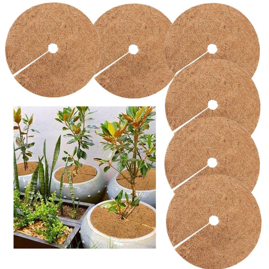6-piece brown coconut coir root mats with white holes and stitched entry lines