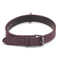 Double-layer leather dog collar in purple with black lining and metal buckle