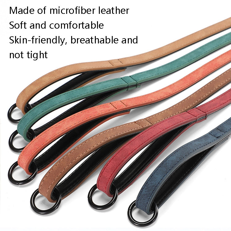 Assorted double-layer dog collars in multiple colors with metal buckles