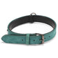 Teal double-layer leather dog collar with metal buckle and D-ring