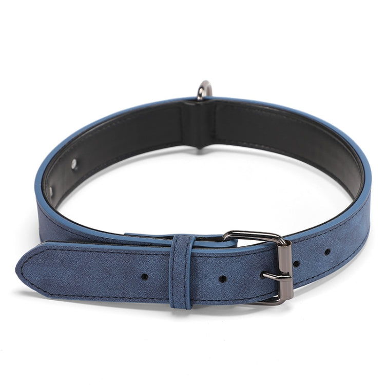 Double-layer leather dog collar in blue and black, with metal buckle and D-ring.