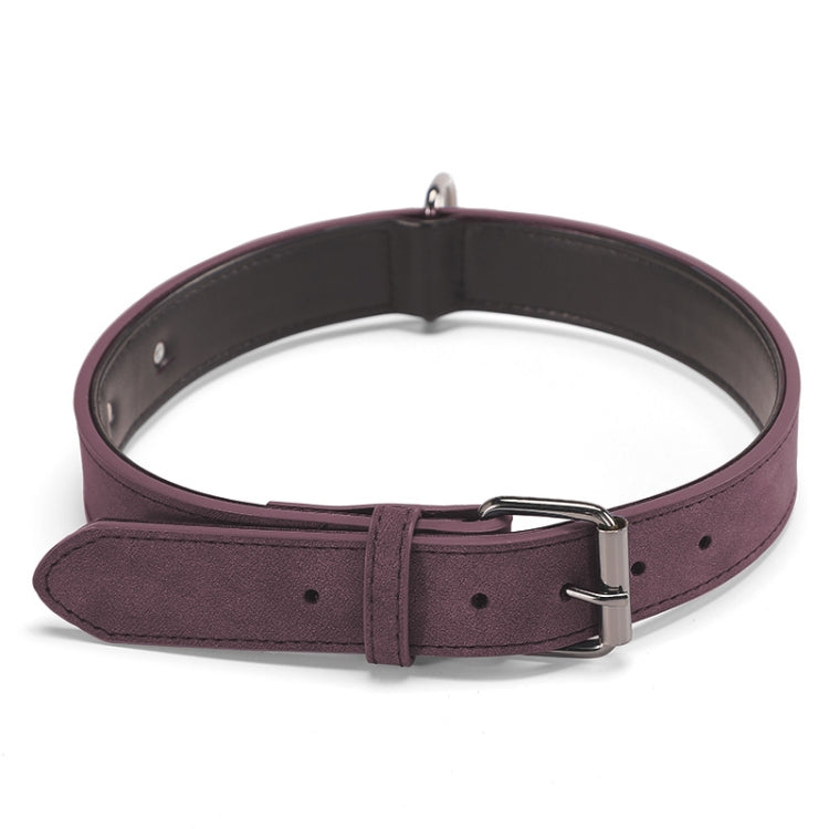 Purple double-layer dog collar with silver metal buckle and D-ring