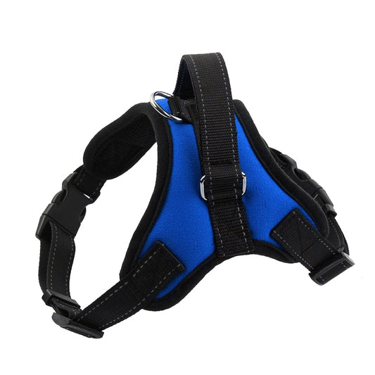 Adjustable dog chest strap harness, blue with black straps, D-ring and buckles