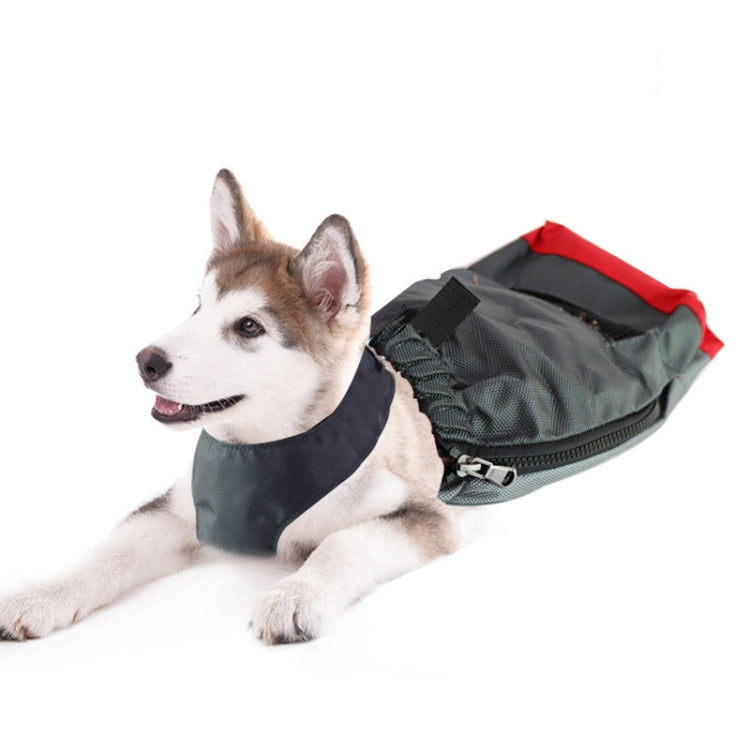Dog wearing gray anti-chafing pet protection bag with black front panel and red edge