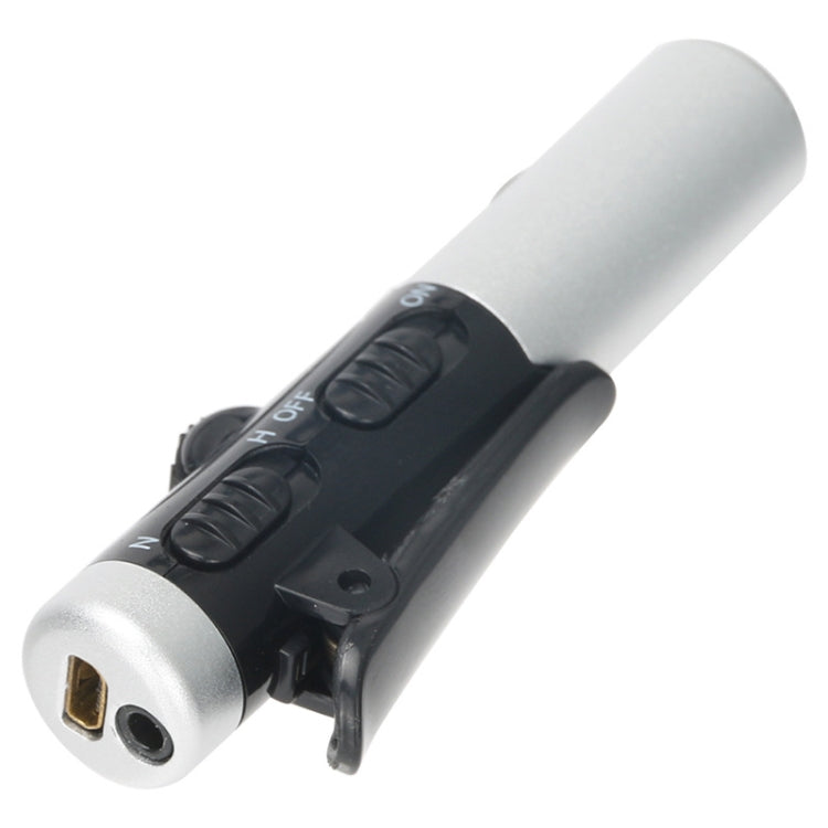 Silver hearing aid amplifier with audio output ports and adjustable ear hook